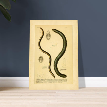 d417bd23-8421-448e-b3cf-47b82ad97f5c