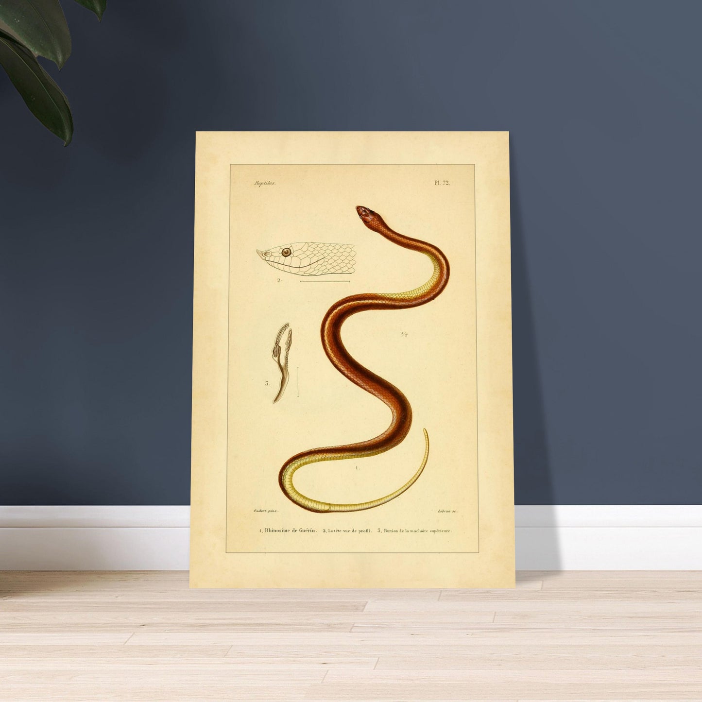 d4379d00-155a-4ace-876c-a239ccc656f2