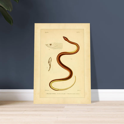 d4379d00-155a-4ace-876c-a239ccc656f2