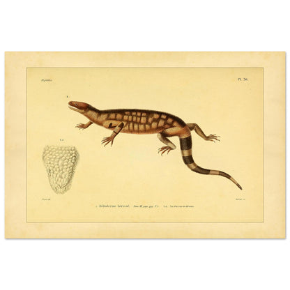 d5ae079e-d799-484a-9192-2ed33ba857d6