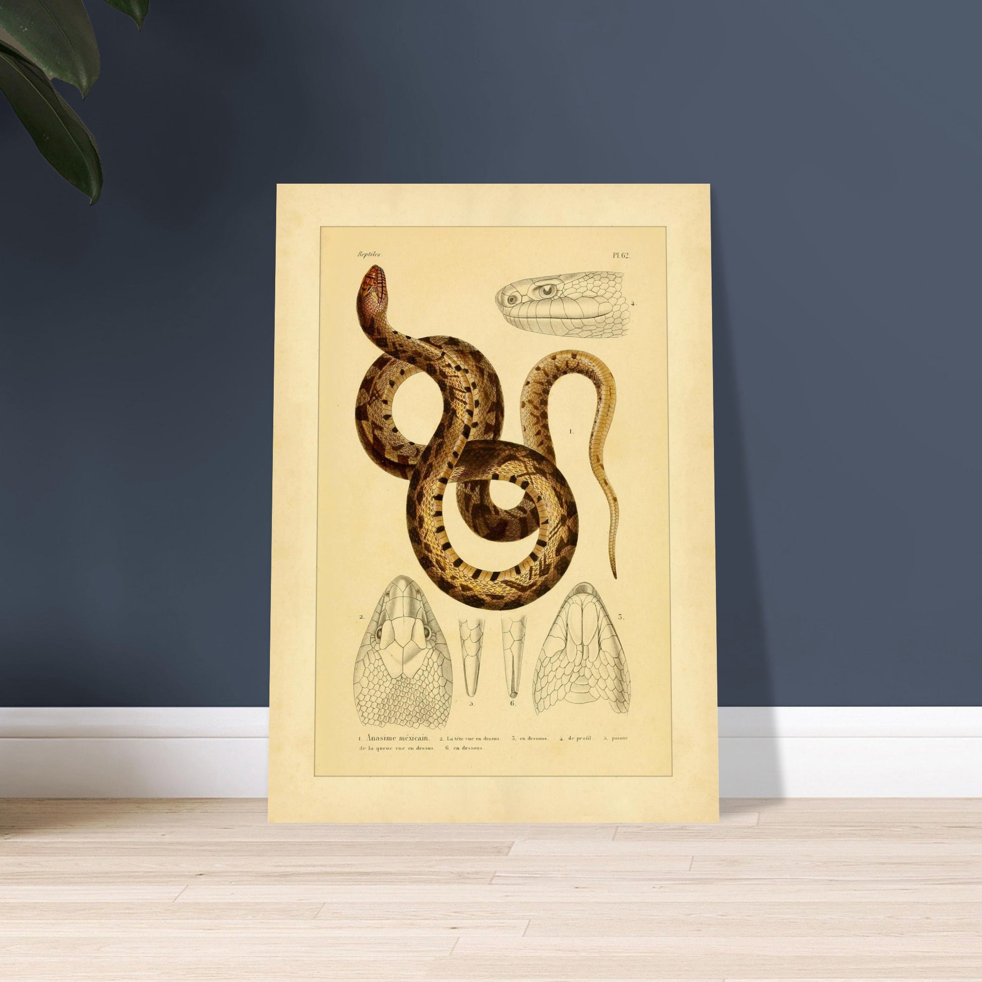 d6156736-b012-47b5-995e-52f1610f93d0