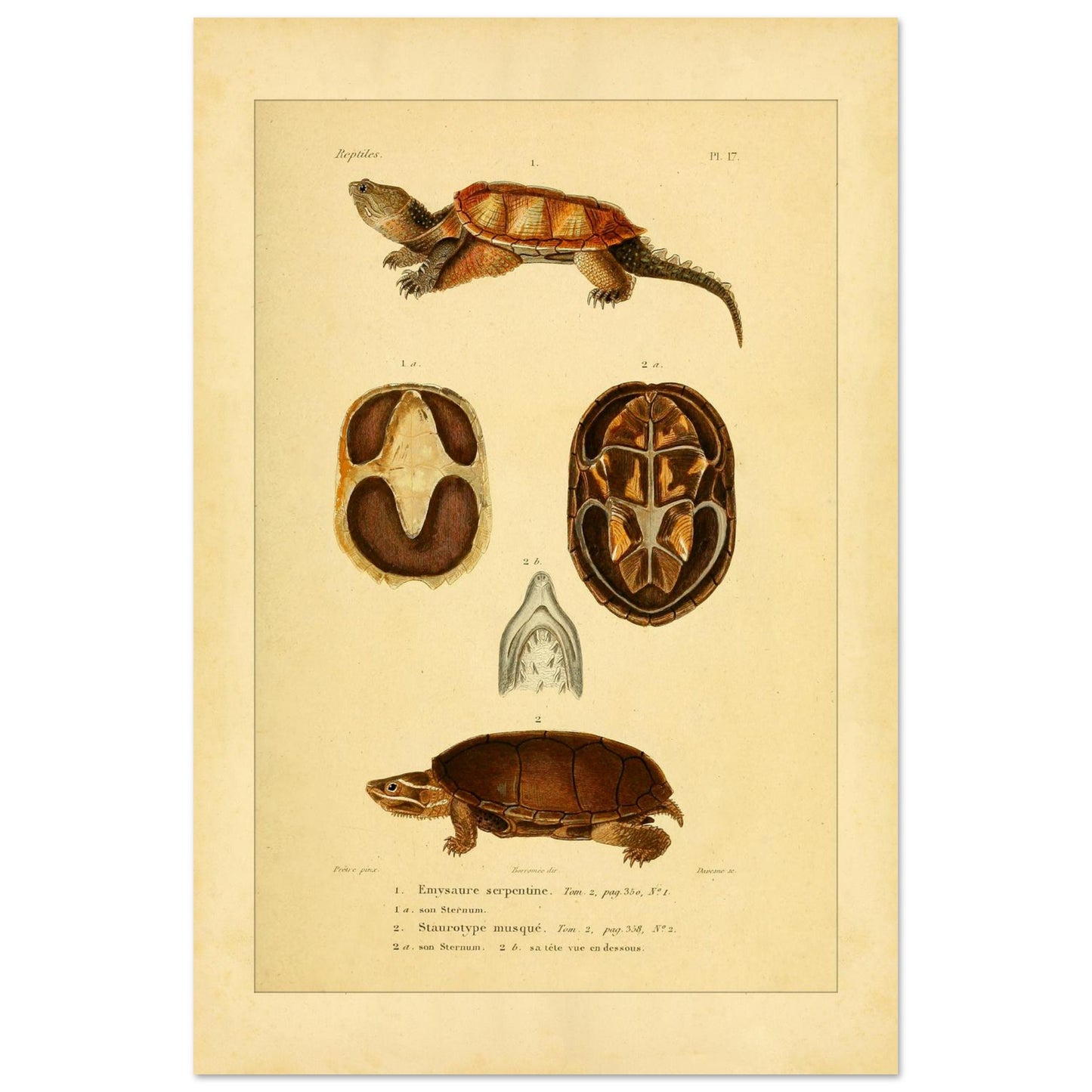 d8c1faa5-cfb4-4f1c-9c56-a4d23da4fe09