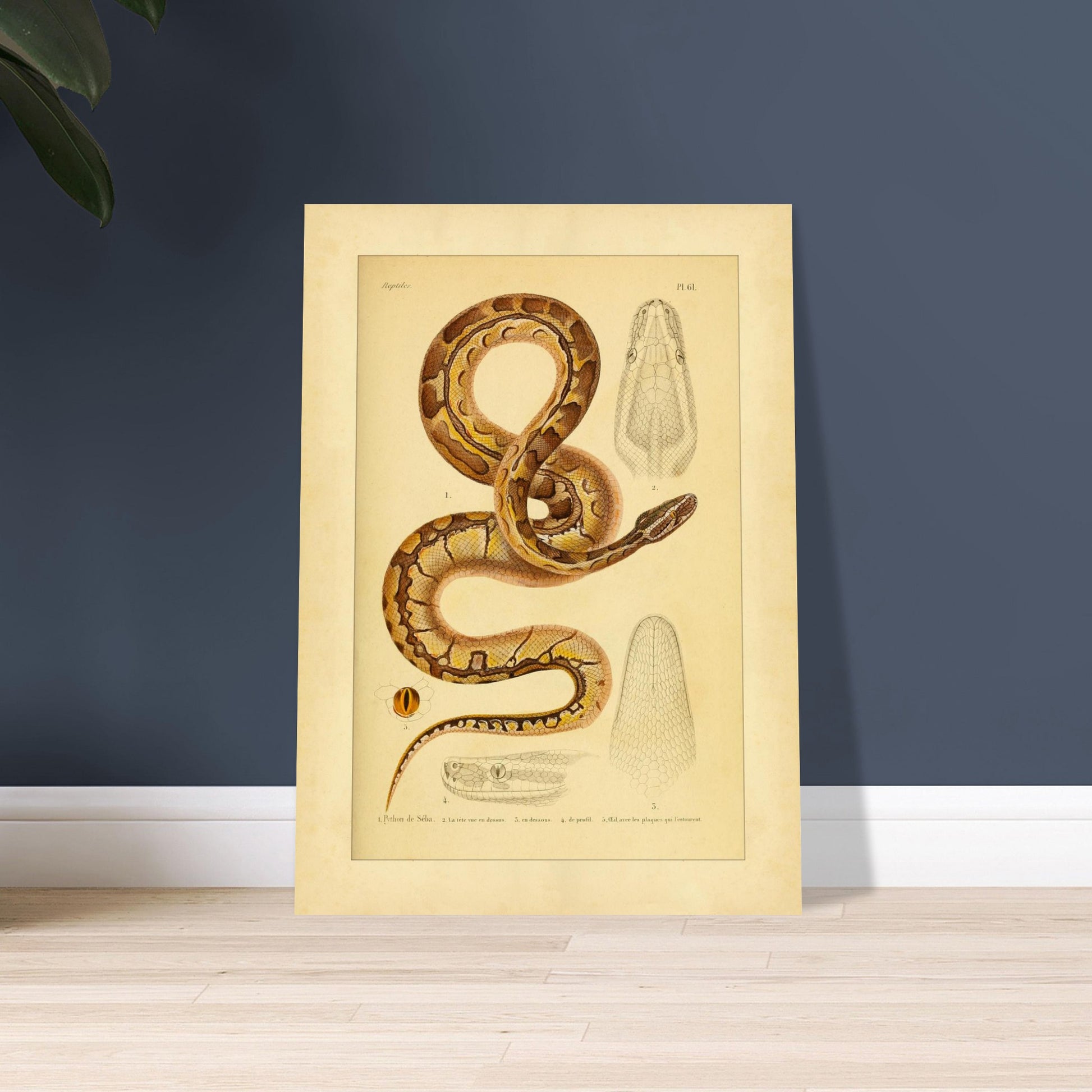 daae87d9-f9fc-4407-a83a-46a42c5e0456