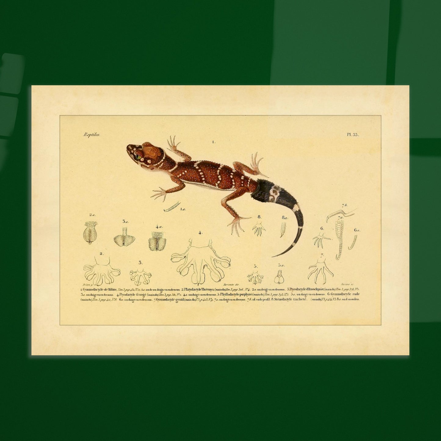 dc2e77ef-c8ae-4e86-8b24-43ee76cb2725