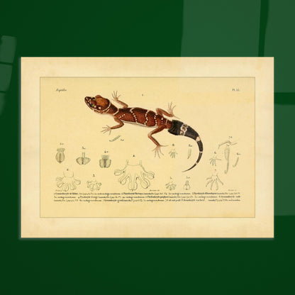 dc2e77ef-c8ae-4e86-8b24-43ee76cb2725