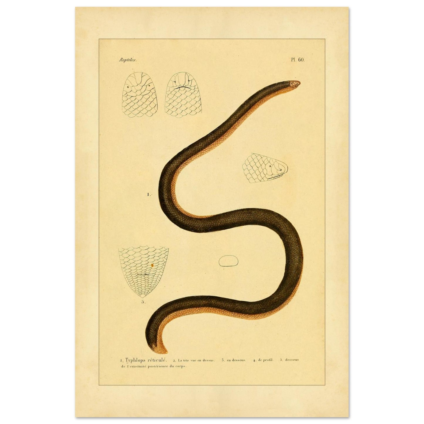 dc87b444-5a04-4a5b-8b2b-d96feca4ad8d