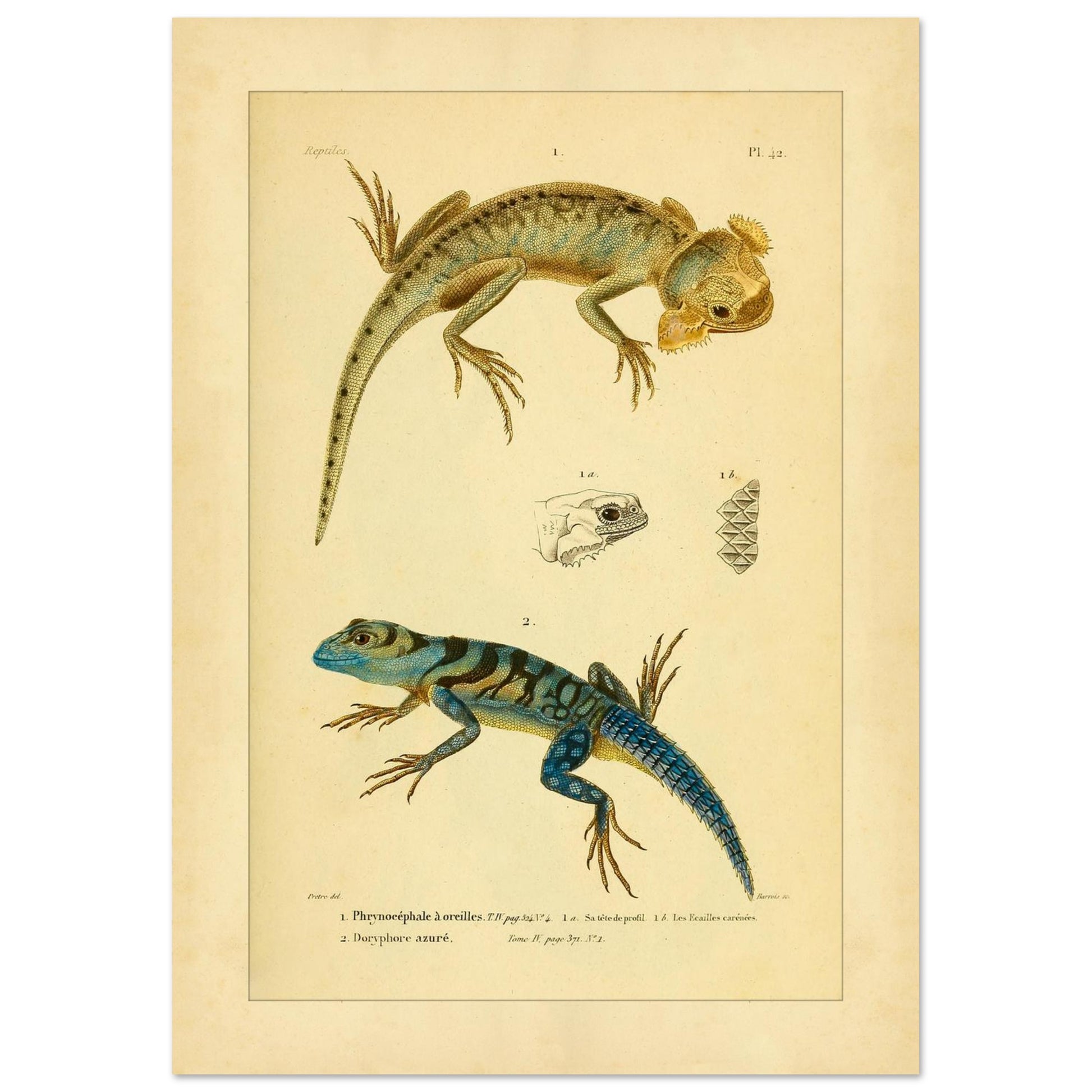 df76bf20-962b-4dc4-9886-a8d61213e7b8