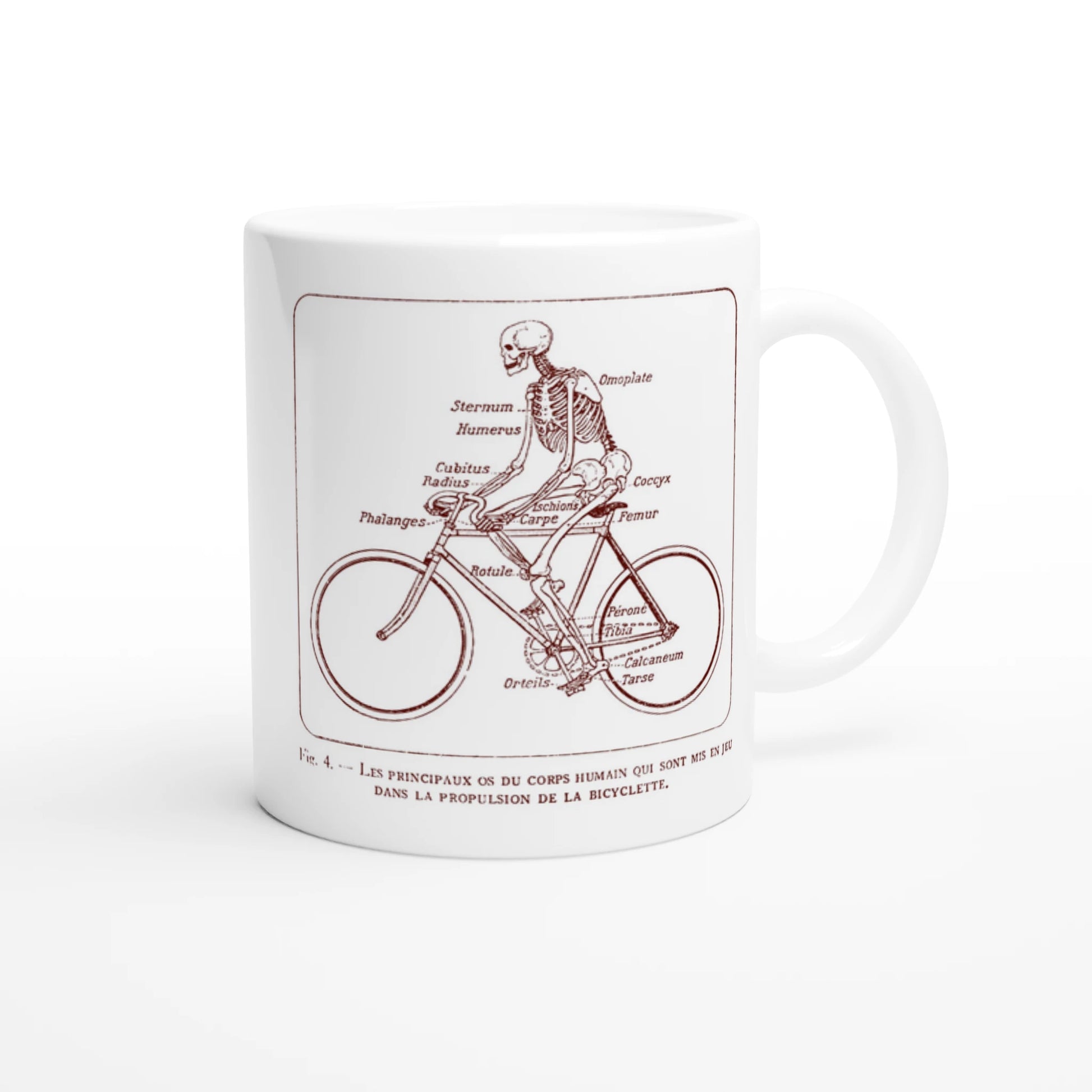 tasse rennrad Bicycle Bones"-Tasse – Eine Hommage an die Radsportkunst (1925) – Bertic Designs