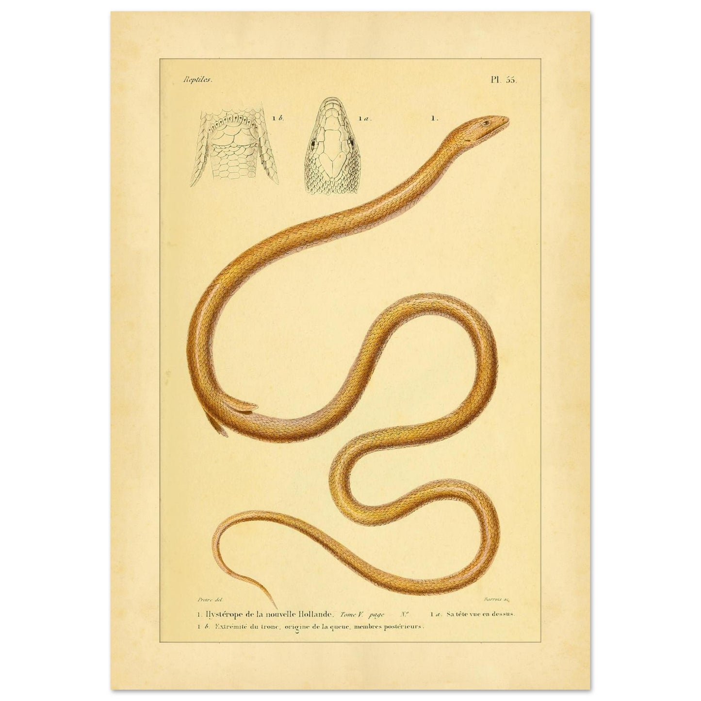 e44dba51-cbd8-42e5-b63c-5151381b0b8f