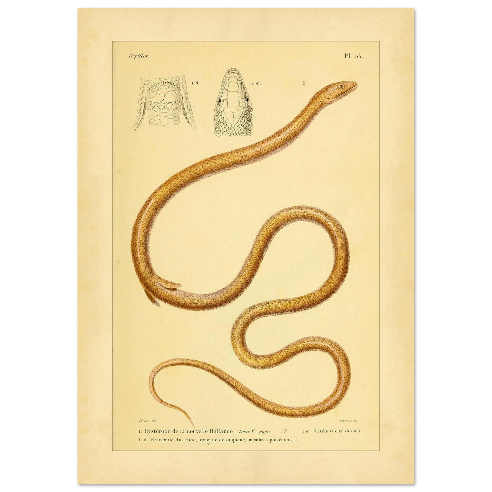 e44dba51-cbd8-42e5-b63c-5151381b0b8f