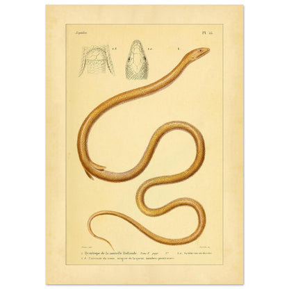 e44dba51-cbd8-42e5-b63c-5151381b0b8f