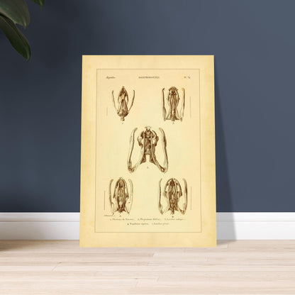 e518b9e4-1e93-4903-9c8d-78dcc2e0c83e