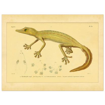 e69bd1b4-cb30-41d5-a8d4-98878c17ad03