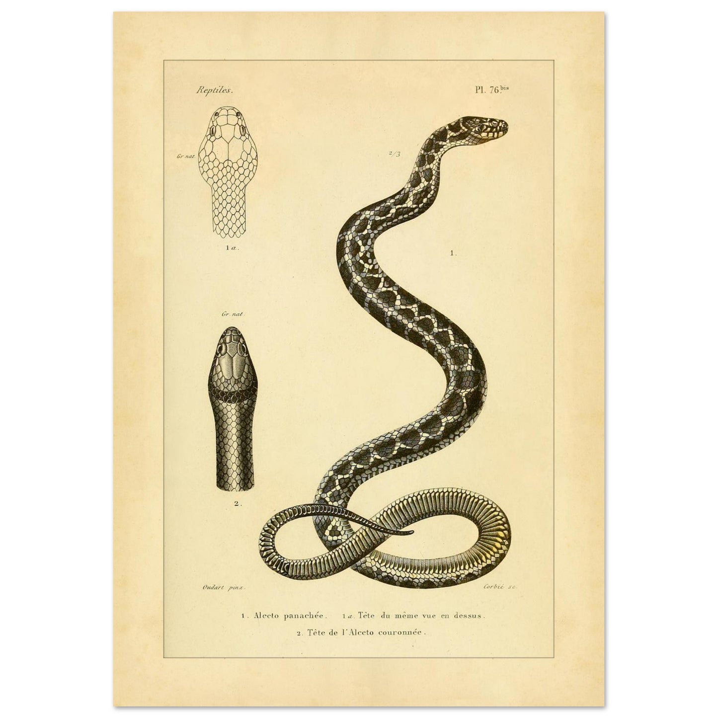 e85811cc-26bc-4752-b218-2ac8e9375bb7