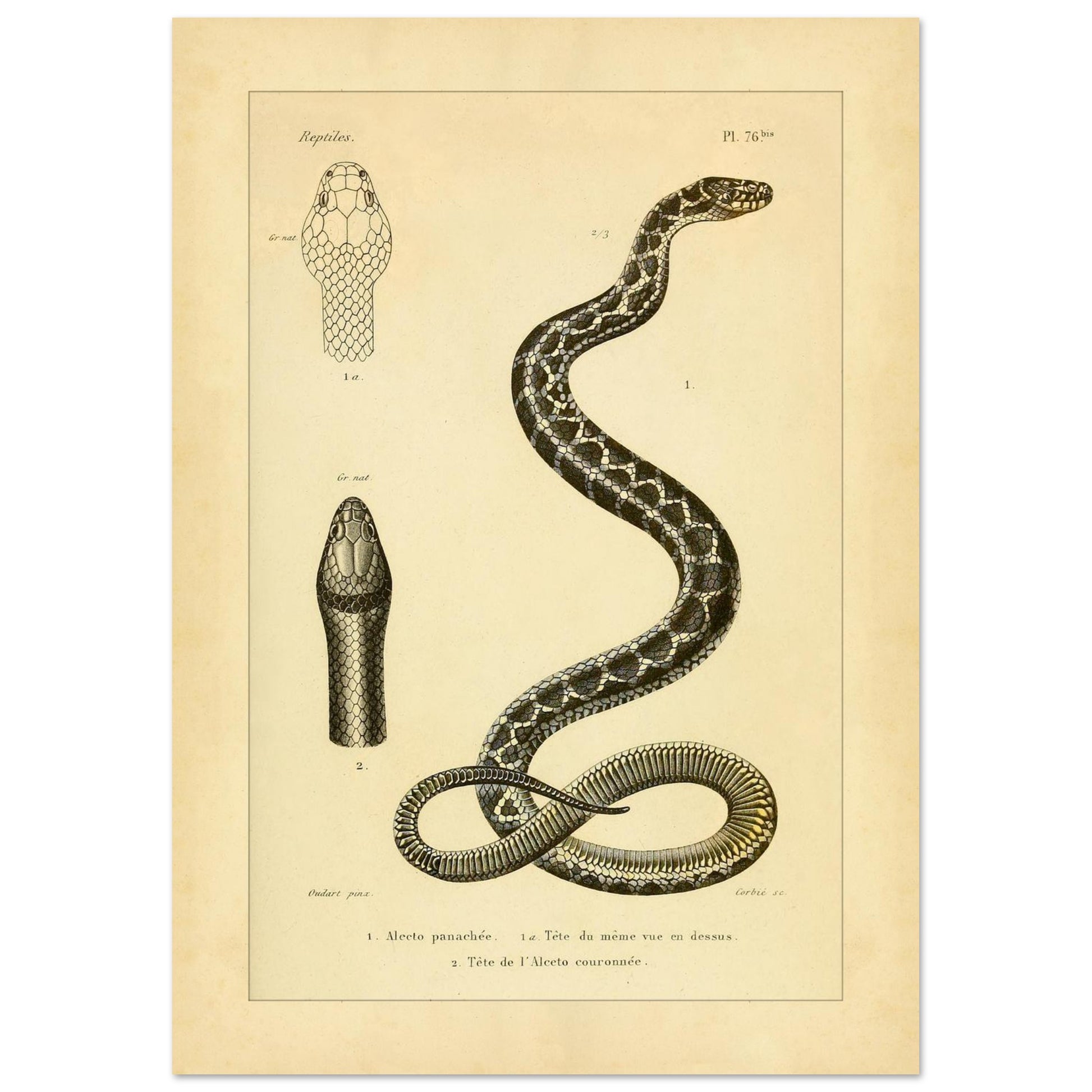 e85811cc-26bc-4752-b218-2ac8e9375bb7