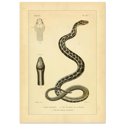 e85811cc-26bc-4752-b218-2ac8e9375bb7