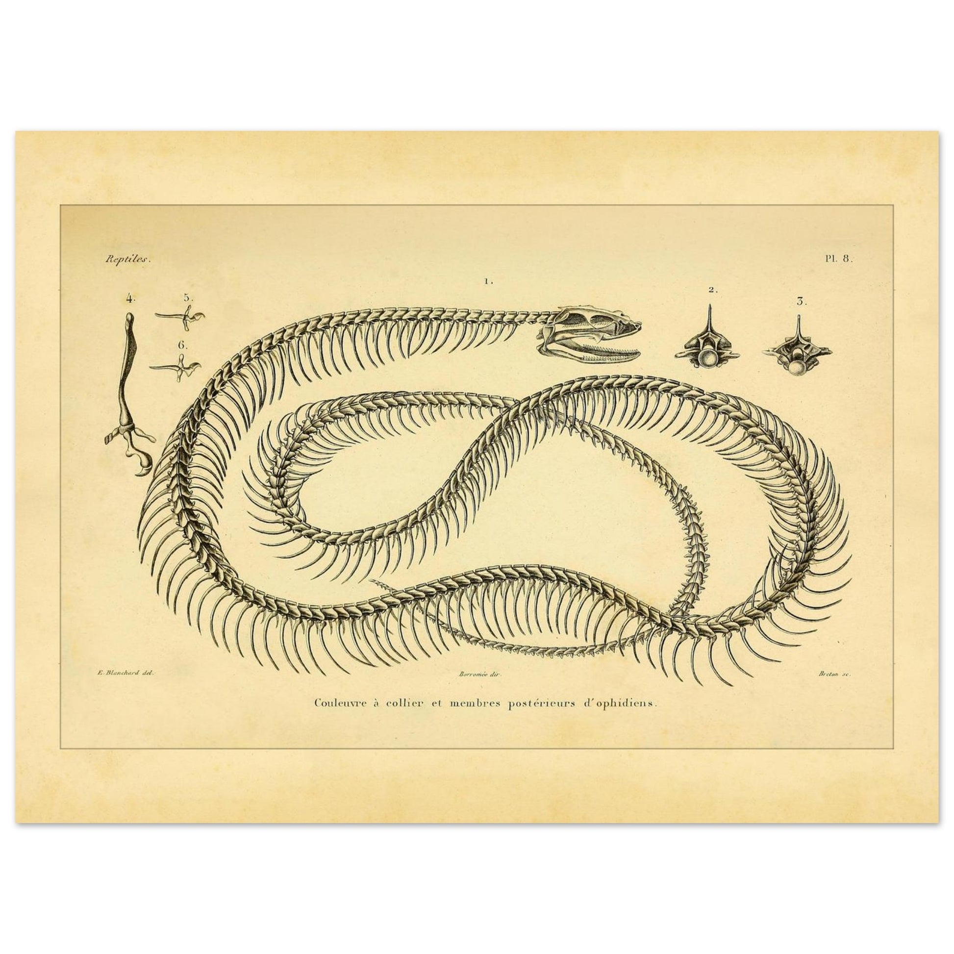 eac74ecf-8c28-40e5-8905-d64708161f83