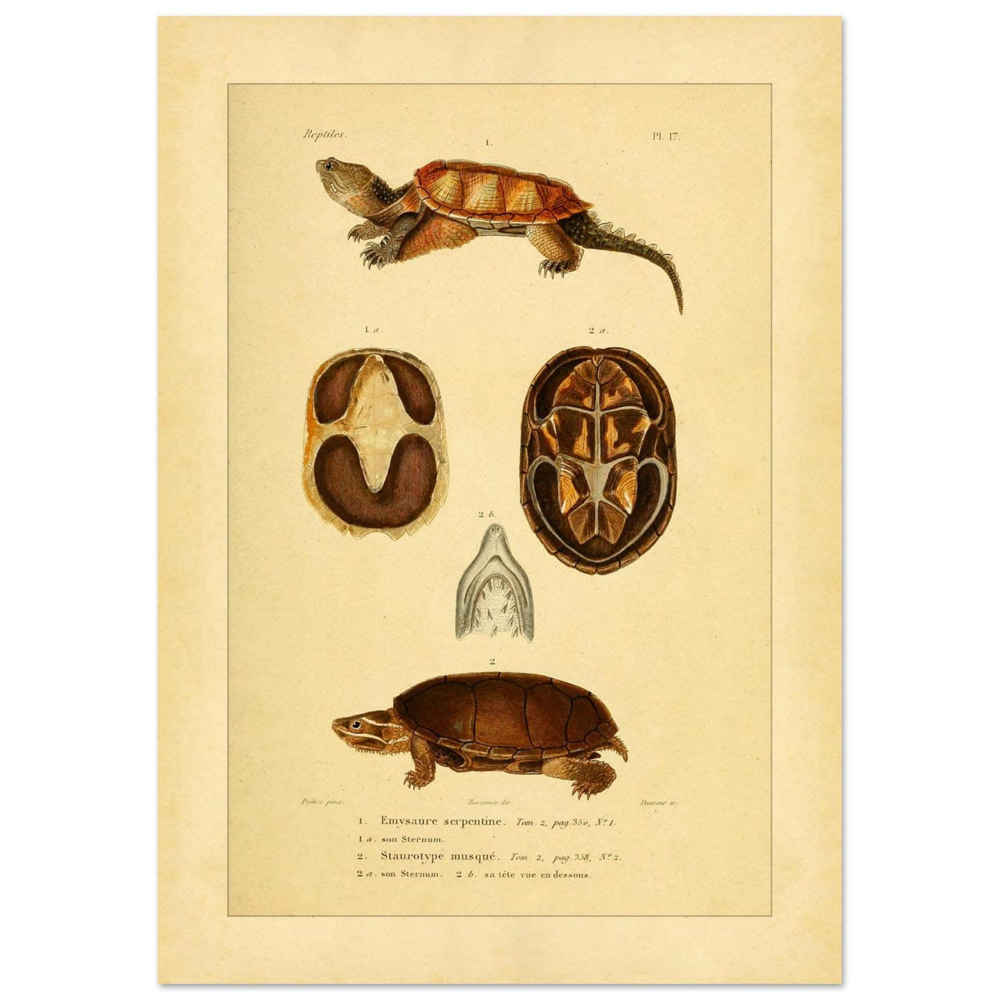 eb23259b-b591-4ff4-91d6-1b25a9c8e852