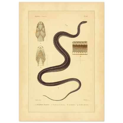 eb6a5adb-1378-49cd-ab0f-44fb03102d8c