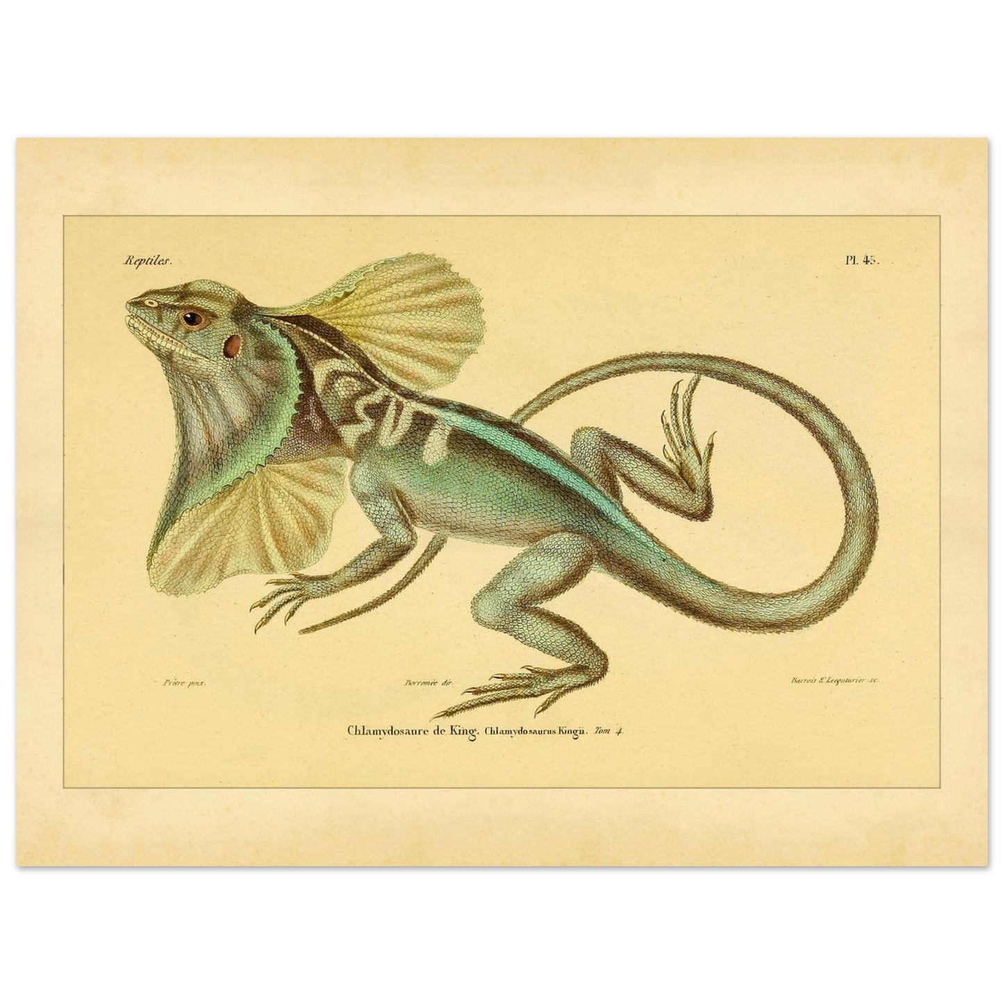 ec2f05fd-05cc-4566-89c5-32af5f9612f9