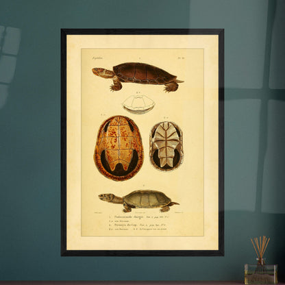 ecf79521-c592-4487-8ada-78b6a2fdd652