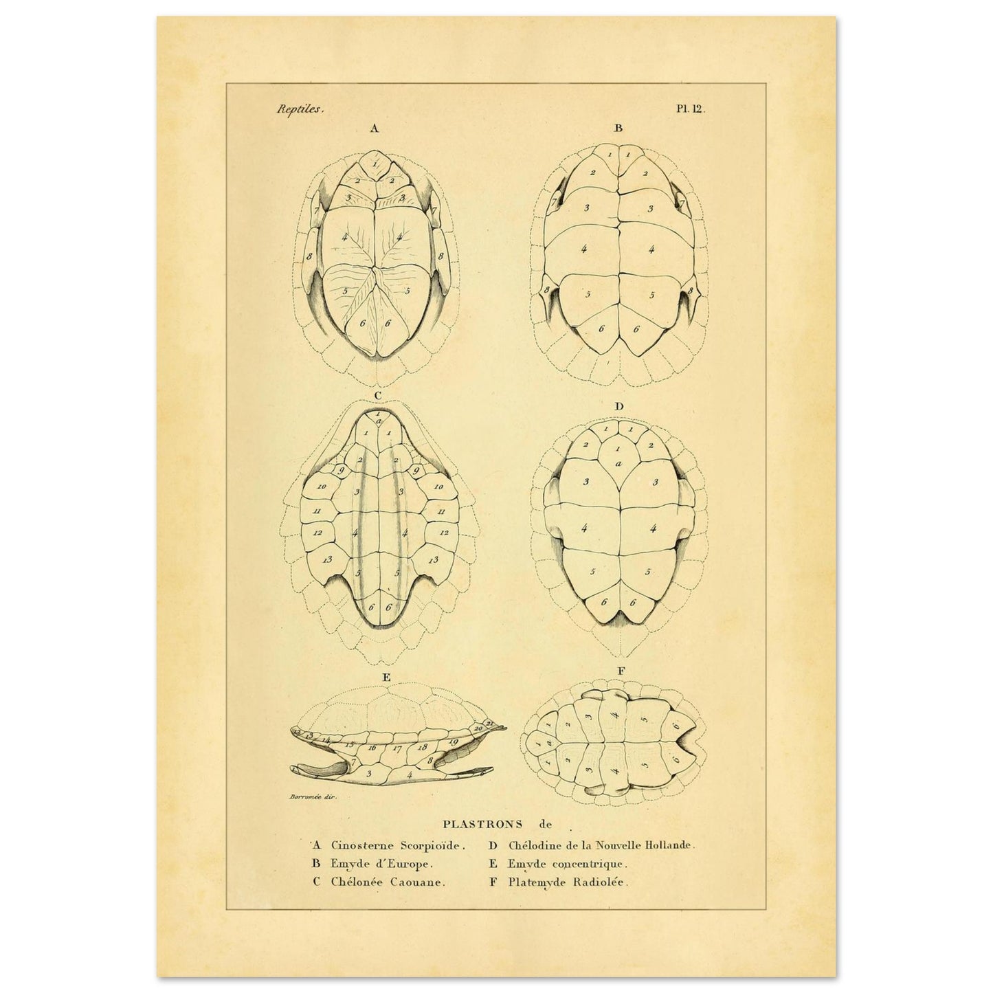 ee399301-5891-4bfa-add2-41e9c3eab2d0