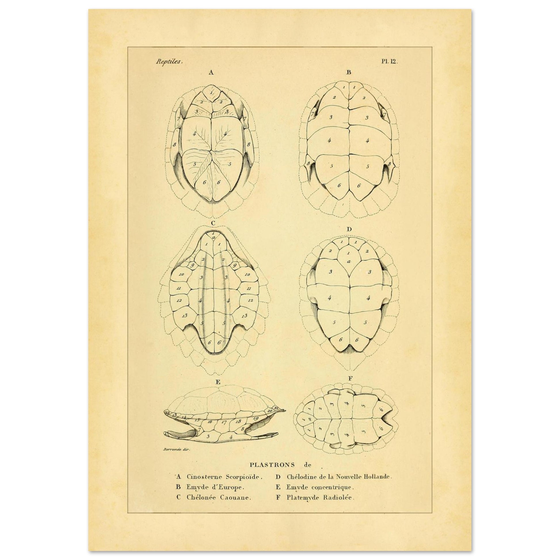 ee399301-5891-4bfa-add2-41e9c3eab2d0