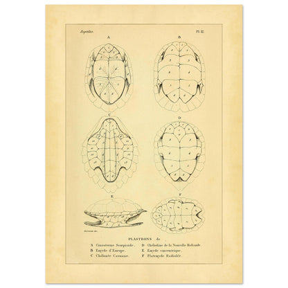 ee399301-5891-4bfa-add2-41e9c3eab2d0