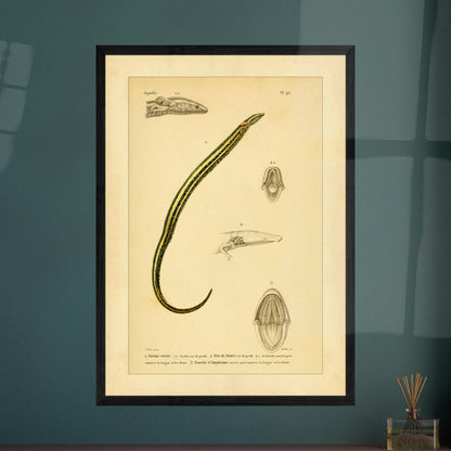 ef46652d-9749-426e-a71f-0d0cf4d6d5f9