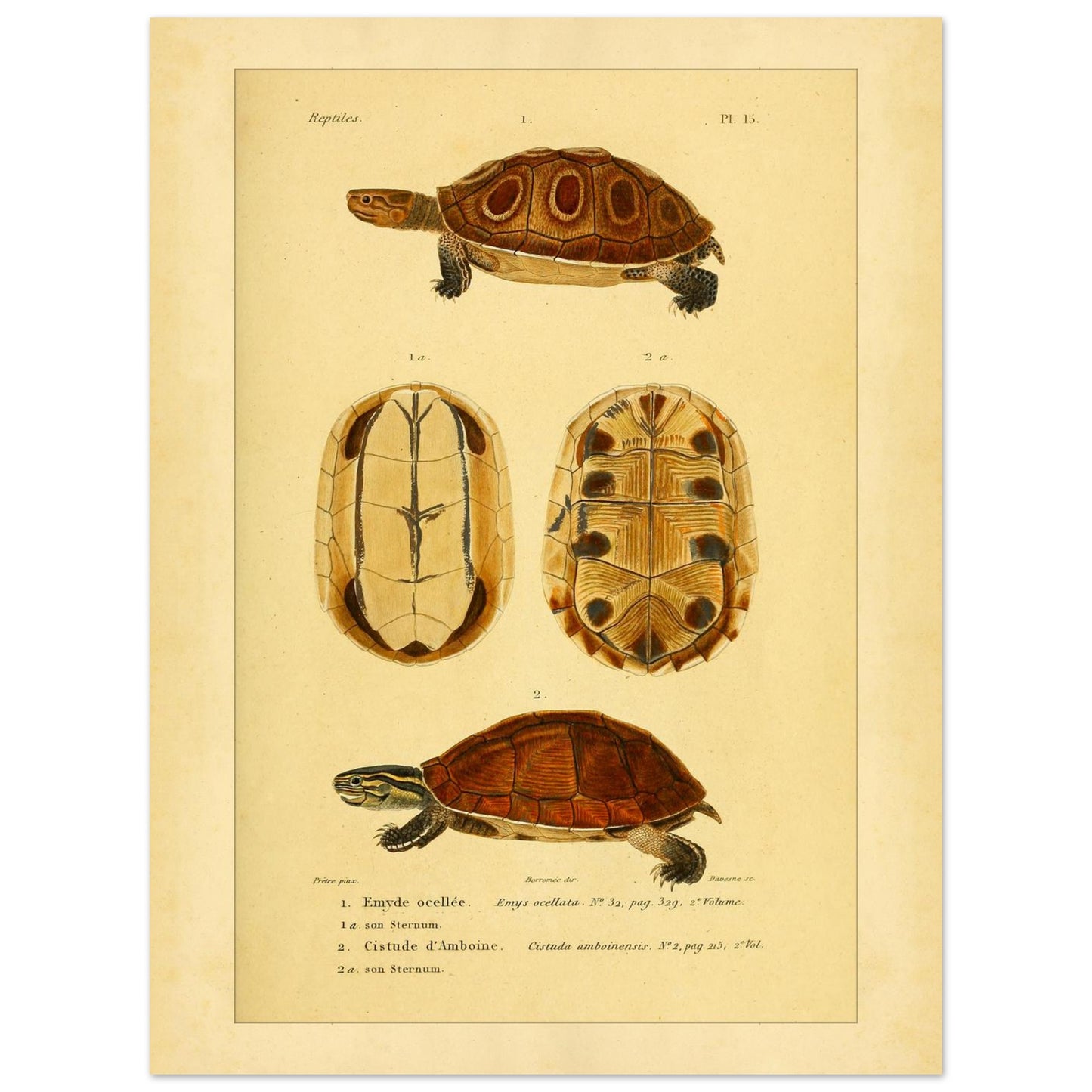 efa878ed-6742-484b-aaba-29b26b695d42