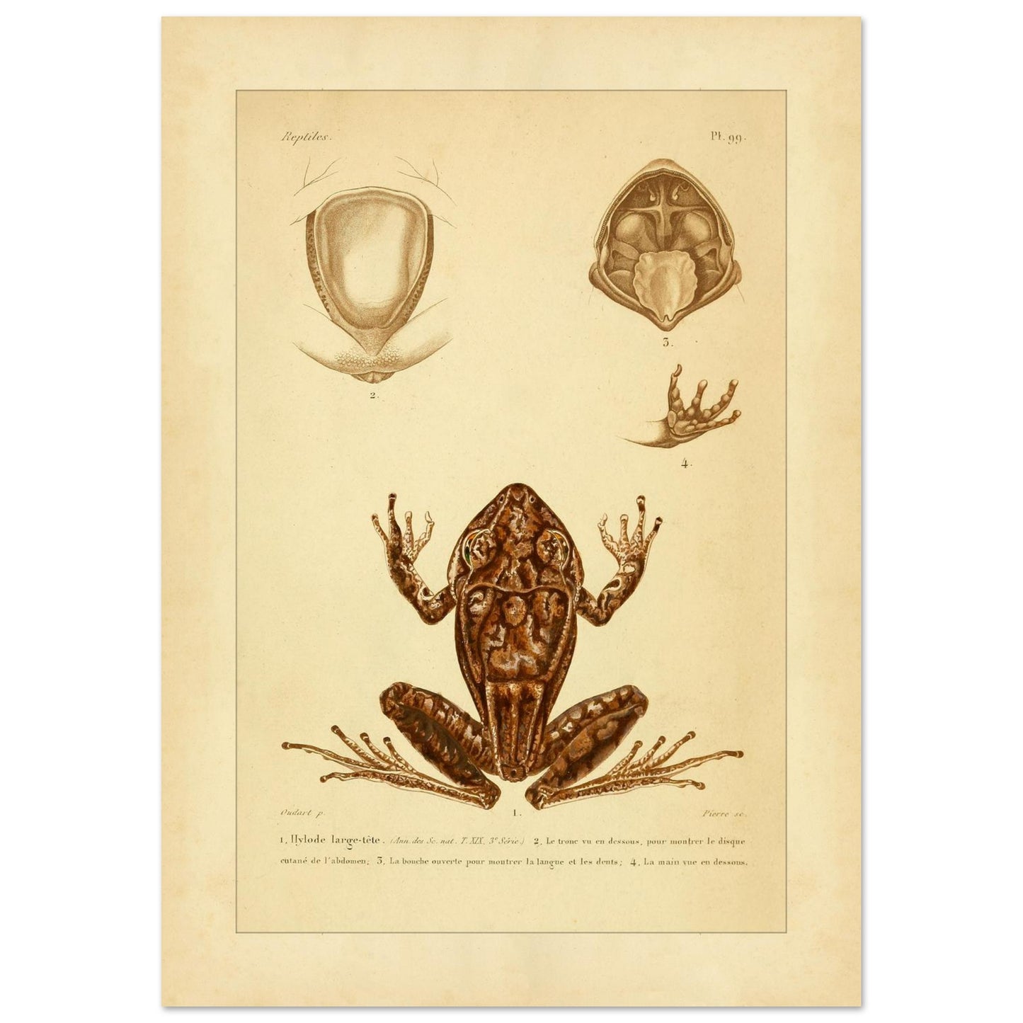 efe3281c-4cb1-4d68-a688-bad1b6ff9fcb