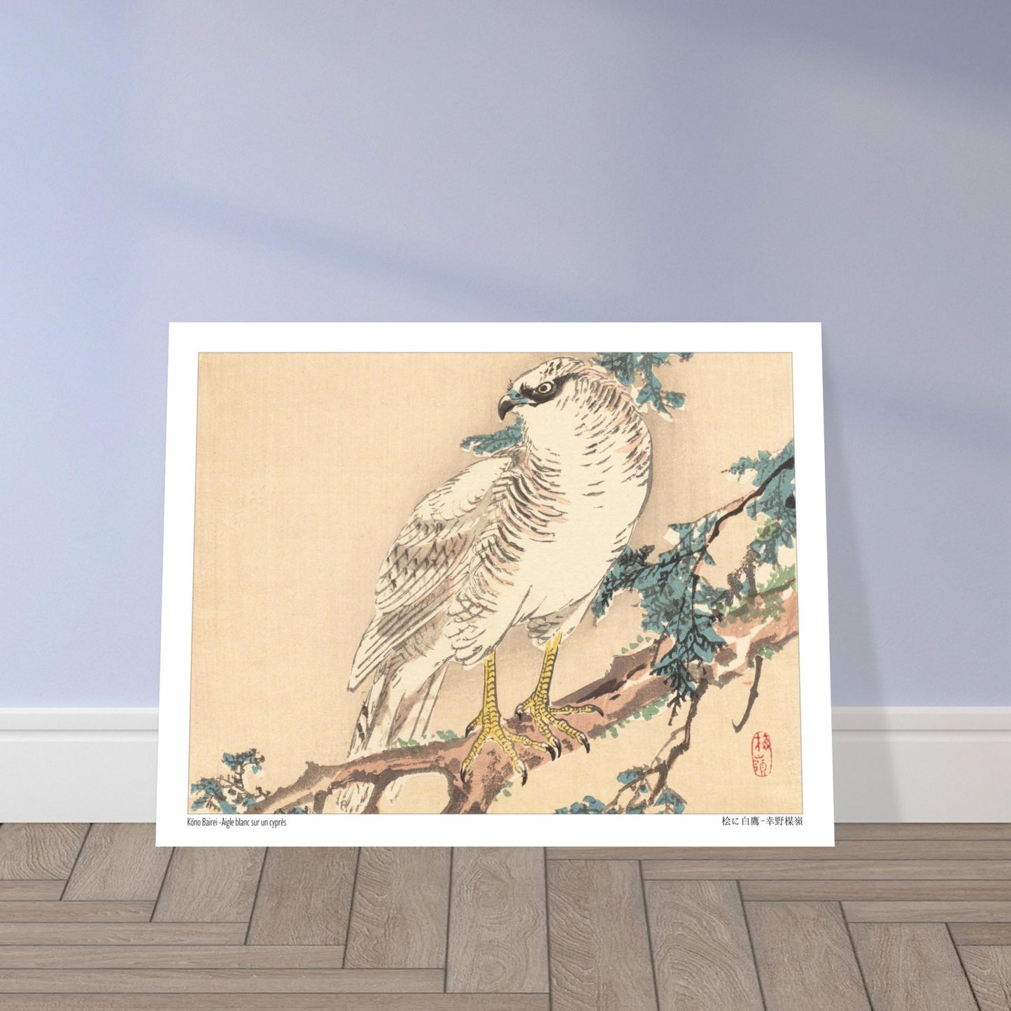 Estampe Aigle blanc sur un cyprès de Kōno Bairei. Un aigle blanc aux yeux bleus est perché sur une branche de cyprès, dans un style d'estampe japonaise naturaliste. Image d'illustration 5