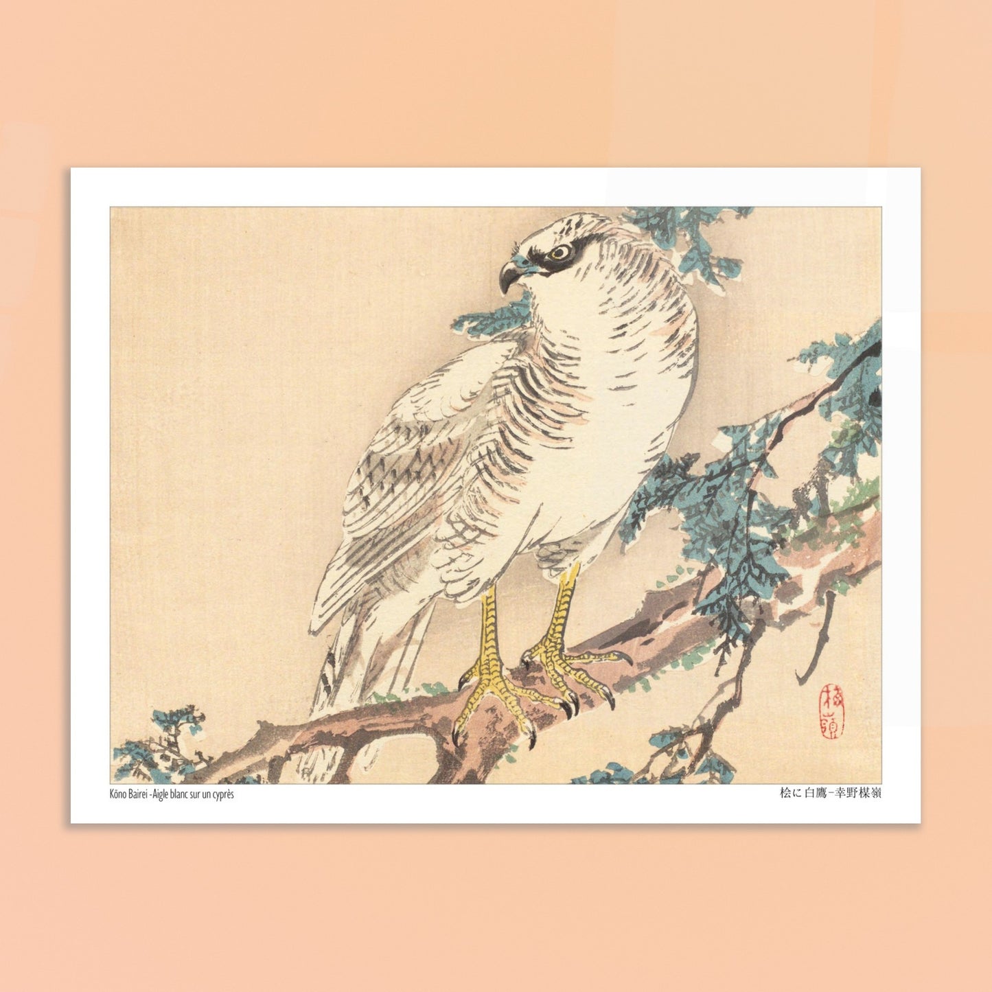 Estampe Aigle blanc sur un cyprès de Kōno Bairei. Un aigle blanc aux yeux bleus est perché sur une branche de cyprès, dans un style d'estampe japonaise naturaliste. Image d'illustration 6