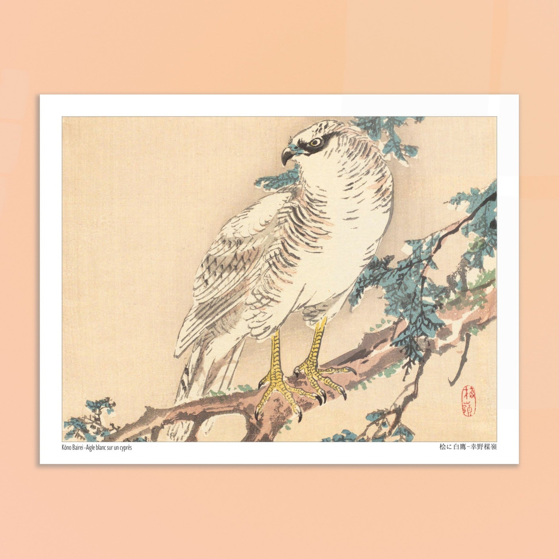 Estampe Aigle blanc sur un cyprès de Kōno Bairei. Un aigle blanc aux yeux bleus est perché sur une branche de cyprès, dans un style d'estampe japonaise naturaliste. Image d'illustration 6