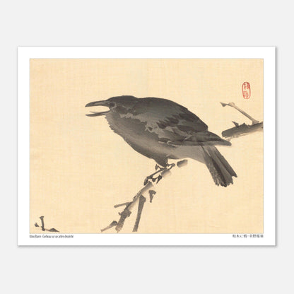 Estampe Corbeau sur un arbre desséché de Kōno Bairei (27x35 cm). Une illustration d'un corbeau perché sur une branche d'arbre desséchée, dans le style de Kōno Bairei.