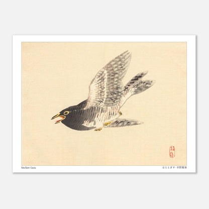Estampe naturaliste : Coucou en vol par Kōno Bairei (15x20 cm). Une illustration naturaliste d'un coucou en plein vol, dans le style de Kōno Bairei.