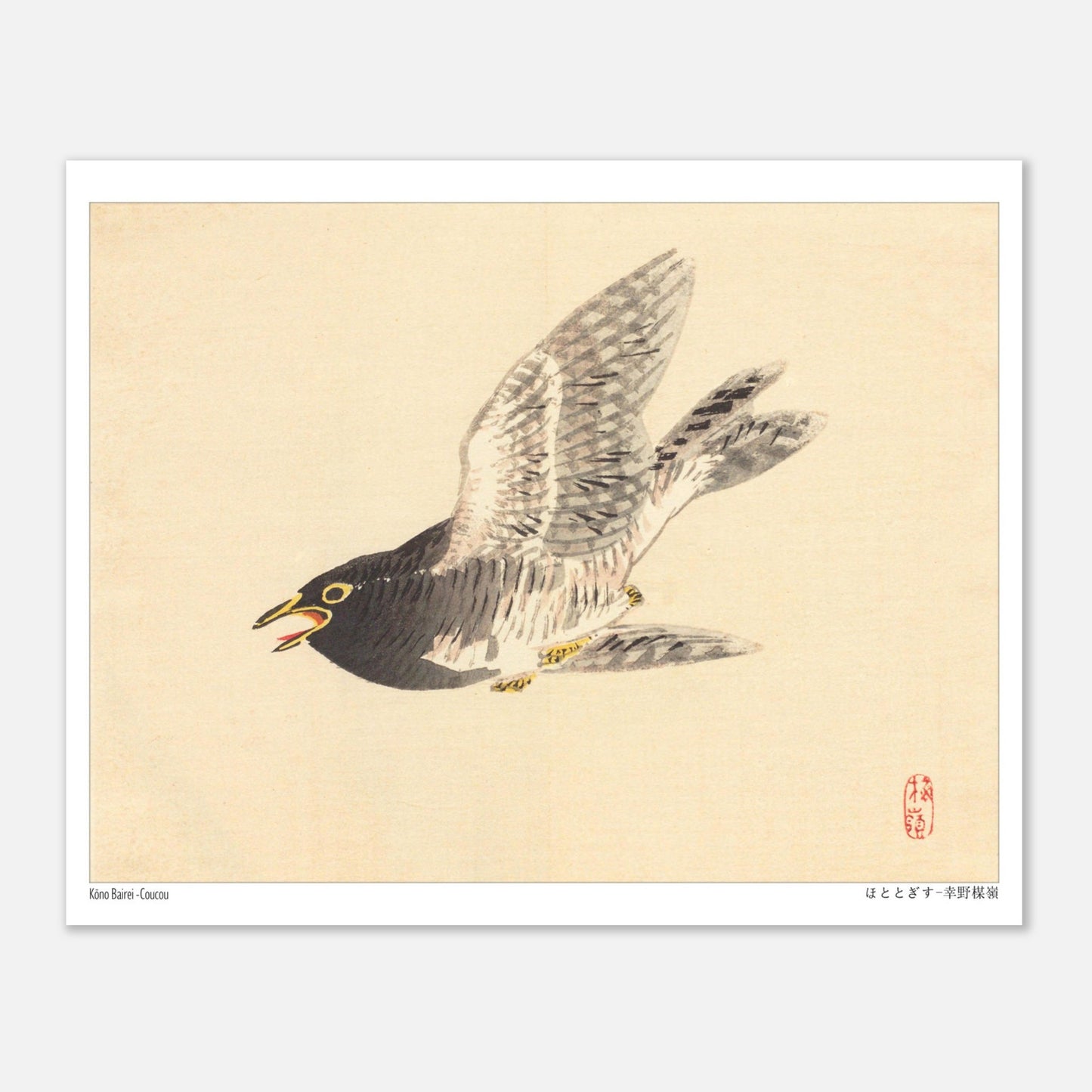 Estampe naturaliste : Coucou en vol par Kōno Bairei (20x25 cm). Une illustration naturaliste d'un coucou en plein vol, dans le style de Kōno Bairei.