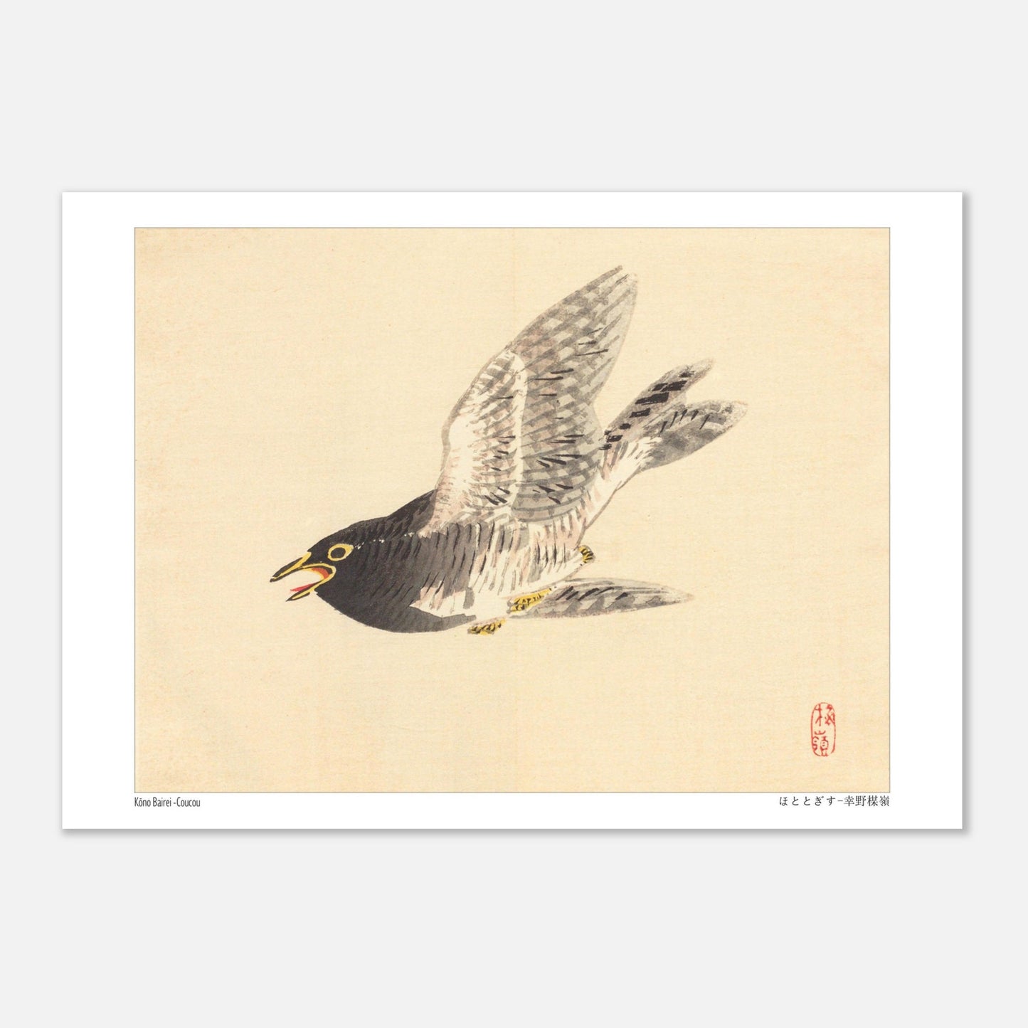 Estampe naturaliste : Coucou en vol par Kōno Bairei (21x29,7 cm (A4)). Une illustration naturaliste d'un coucou en plein vol, dans le style de Kōno Bairei.