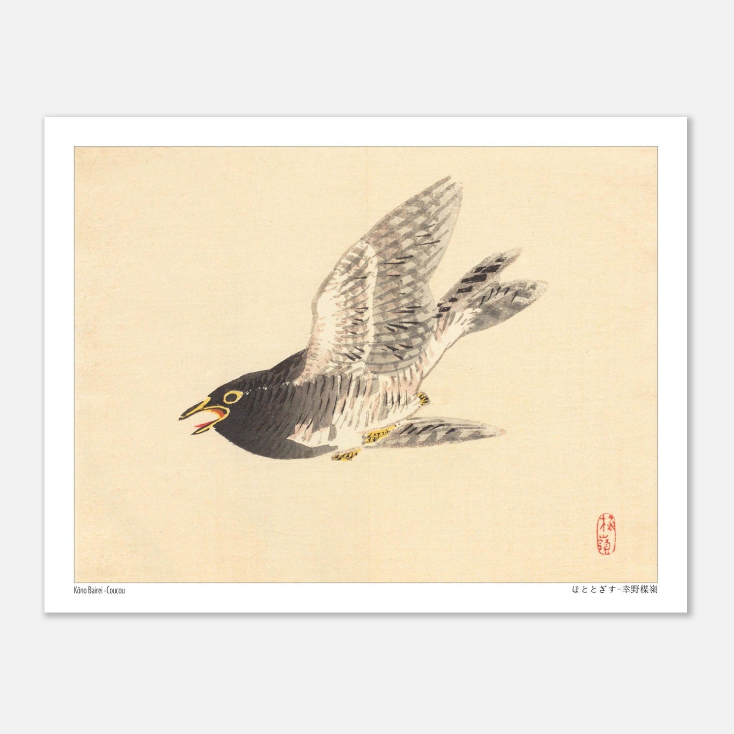 Estampe naturaliste : Coucou en vol par Kōno Bairei (27x35 cm). Une illustration naturaliste d'un coucou en plein vol, dans le style de Kōno Bairei.