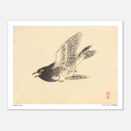 Estampe naturaliste : Coucou en vol par Kōno Bairei (27x35 cm). Une illustration naturaliste d'un coucou en plein vol, dans le style de Kōno Bairei.