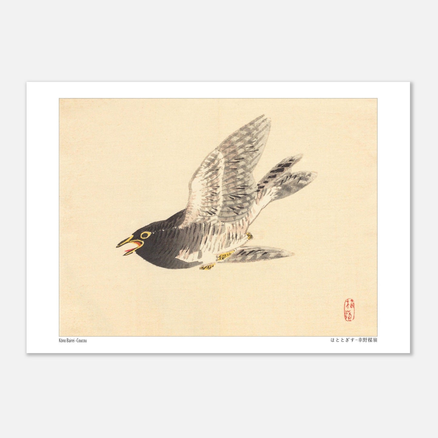 Estampe naturaliste : Coucou en vol par Kōno Bairei (29,7x42 cm (A3)). Une illustration naturaliste d'un coucou en plein vol, dans le style de Kōno Bairei.