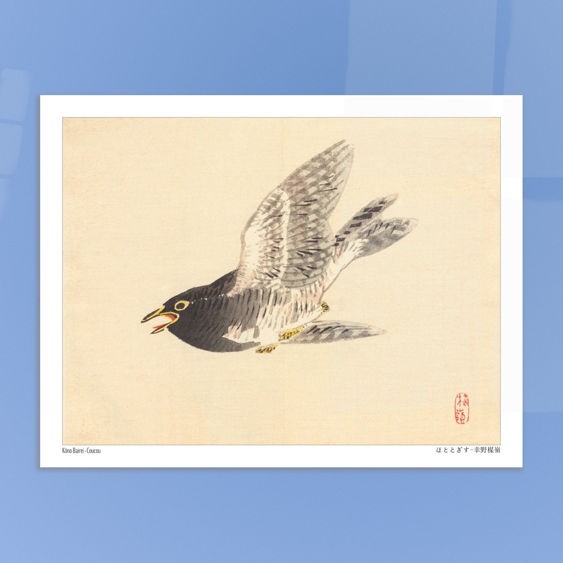 Estampe naturaliste : Coucou en vol par Kōno Bairei. Une illustration naturaliste d'un coucou en plein vol, dans le style de Kōno Bairei. Image d'illustration 5