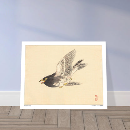 Estampe naturaliste : Coucou en vol par Kōno Bairei. Une illustration naturaliste d'un coucou en plein vol, dans le style de Kōno Bairei. Image d'illustration 6