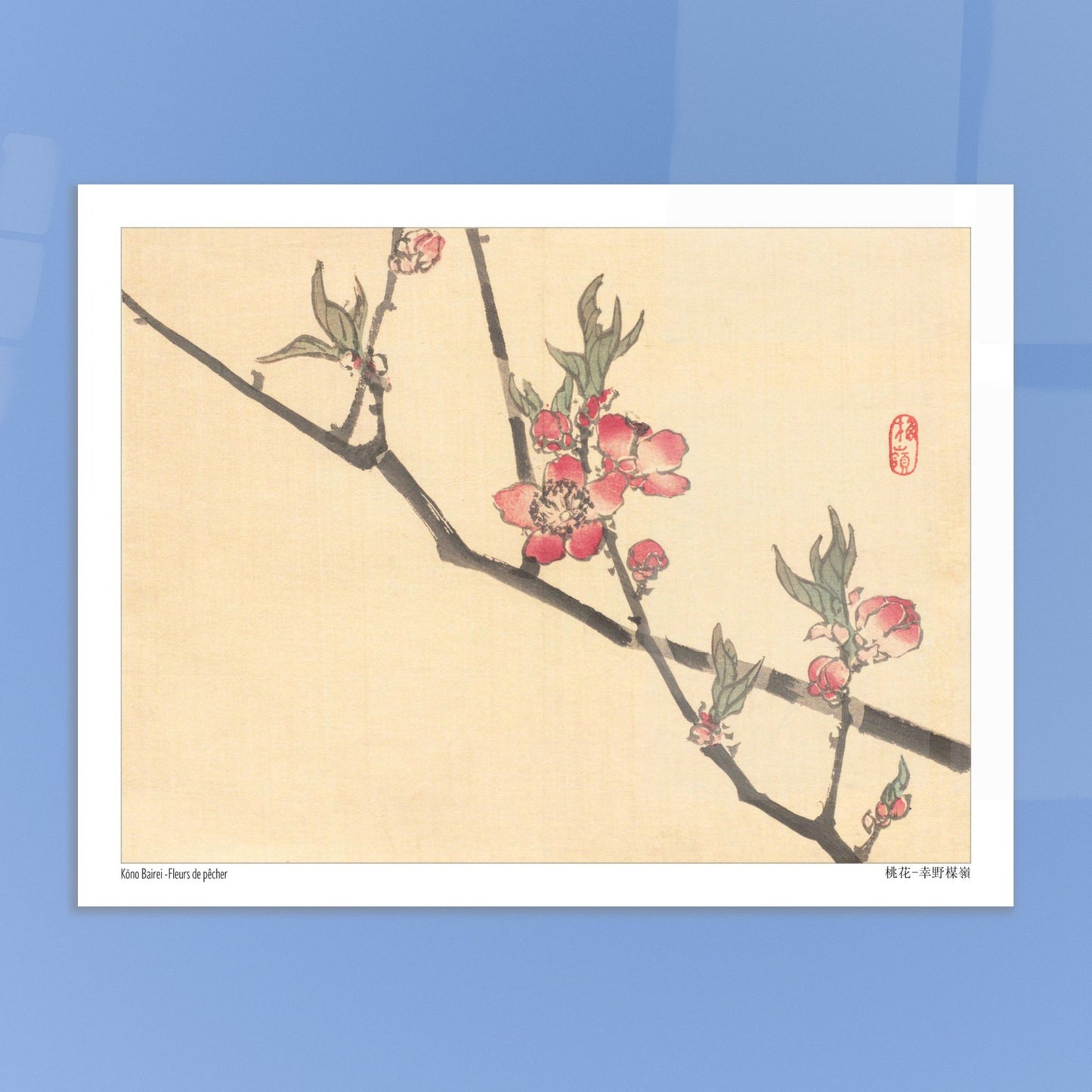 Fleurs de pêcher, illustration botanique japonaise de Kōno Bairei. Une estampe japonaise montrant des fleurs de pêcher roses sur une branche. Image d'illustration 6