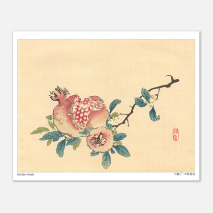 La Grenade, illustration botanique japonaise de Kōno Bairei (20x25 cm). Une estampe japonaise représentant un fruit de grenade ouvert sur sa branche, avec des feuilles et une petite fleur.