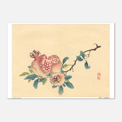 La Grenade, illustration botanique japonaise de Kōno Bairei (21x29,7 cm (A4)). Une estampe japonaise représentant un fruit de grenade ouvert sur sa branche, avec des feuilles et une petite fleur.