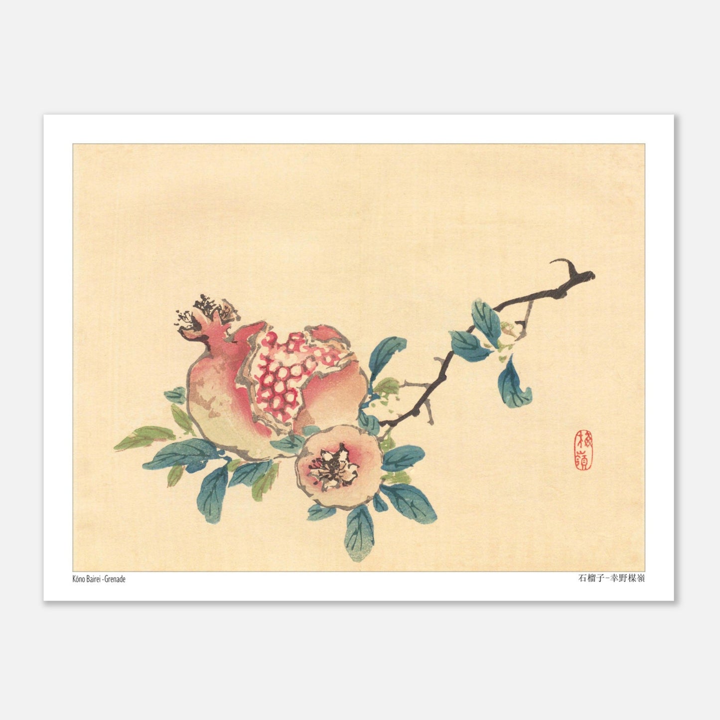 La Grenade, illustration botanique japonaise de Kōno Bairei (27x35 cm). Une estampe japonaise représentant un fruit de grenade ouvert sur sa branche, avec des feuilles et une petite fleur.