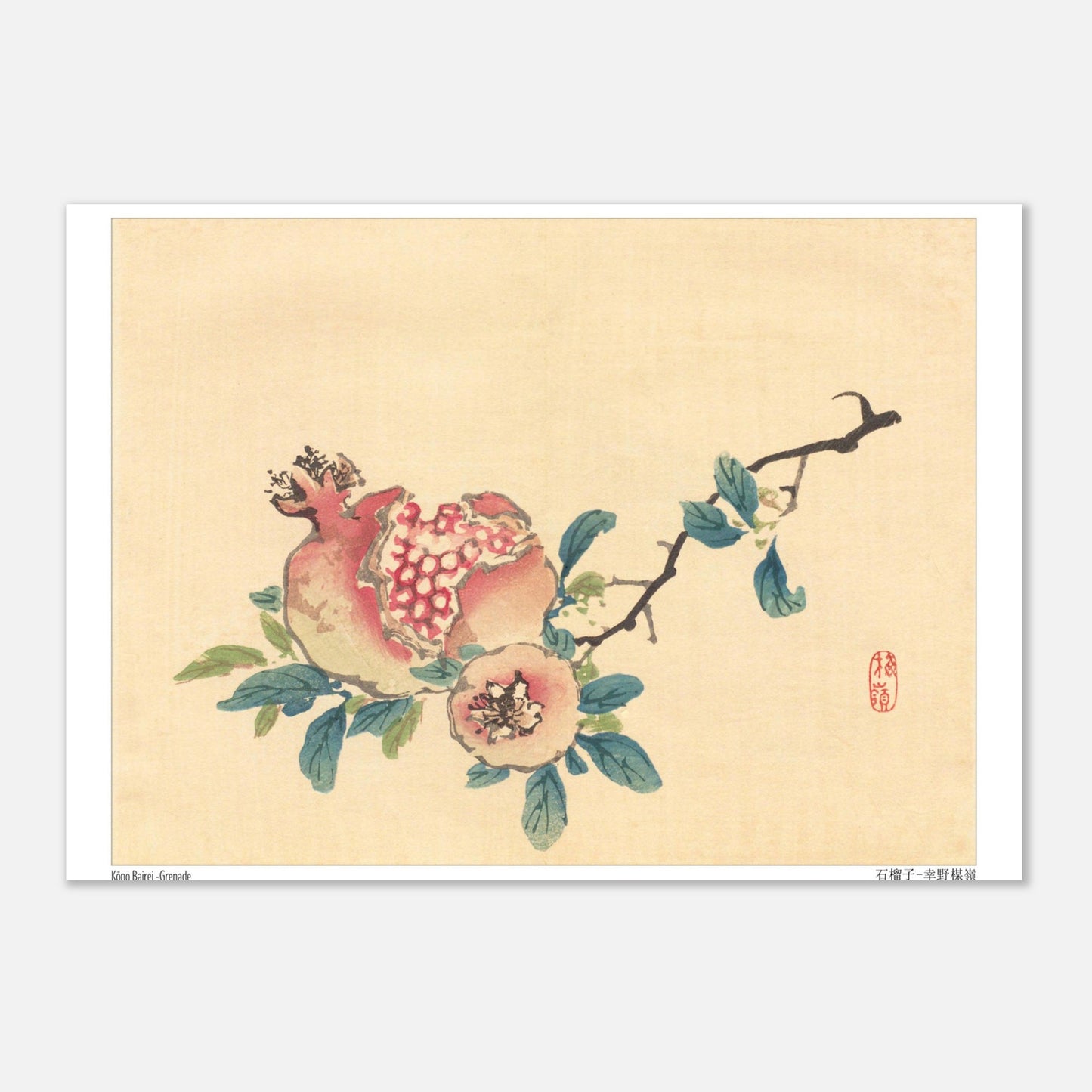 La Grenade, illustration botanique japonaise de Kōno Bairei (29,7x42 cm (A3)). Une estampe japonaise représentant un fruit de grenade ouvert sur sa branche, avec des feuilles et une petite fleur.