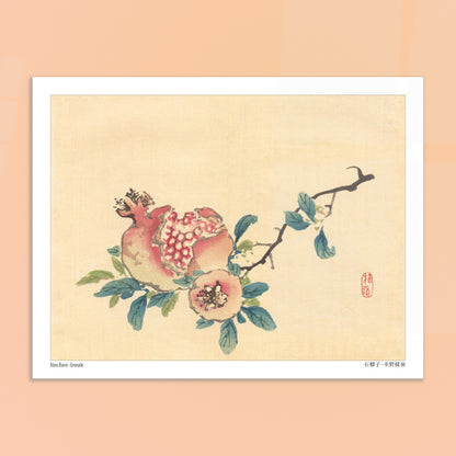La Grenade, illustration botanique japonaise de Kōno Bairei. Une estampe japonaise représentant un fruit de grenade ouvert sur sa branche, avec des feuilles et une petite fleur. Image d'illustration 6