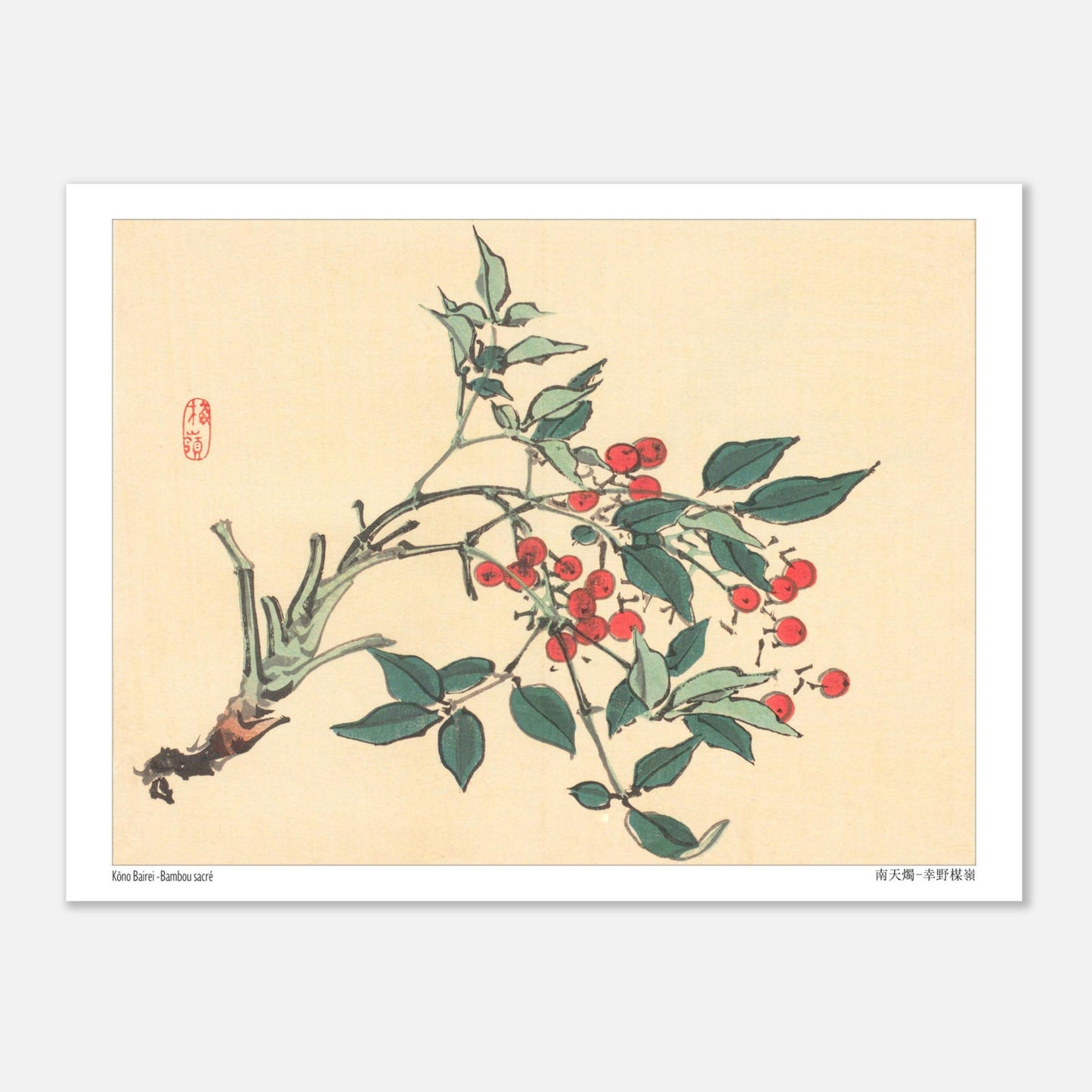 Estampe japonaise de Bambou Sacré par Kōno Bairei (15x20 cm). Une branche de bambou sacré avec des feuilles vertes et des grappes de baies rouges, dans le style d'une illustration botanique japonaise.